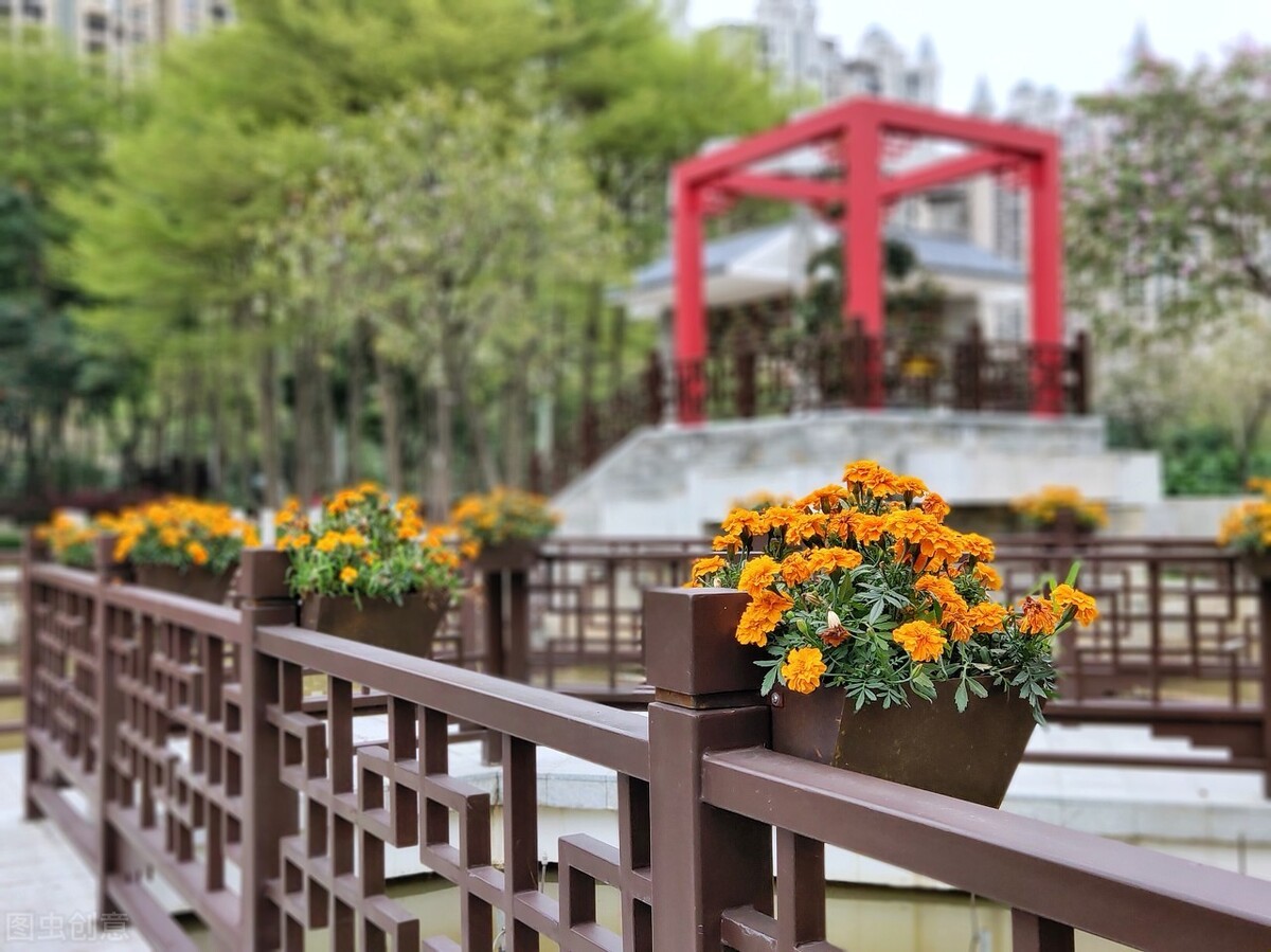 武汉庭院蝴蝶视频app污版下载的设计结构及细节该如何处理？(图1)