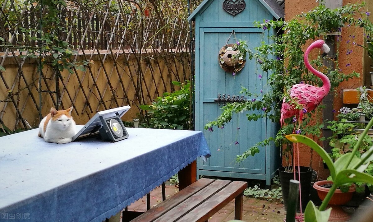 武汉庭院蝴蝶视频app污版下载的设计结构及细节该如何处理？(图8)