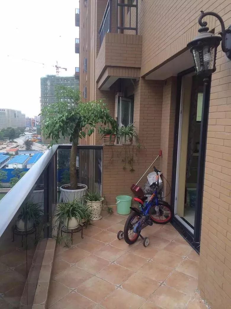 阳台蝴蝶视频app污版下载如何选，美观或安全？